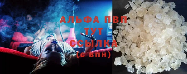 сатива Балахна