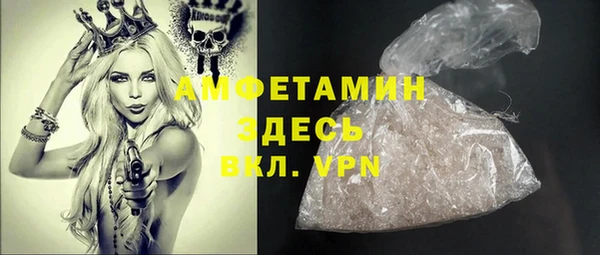сатива Балахна