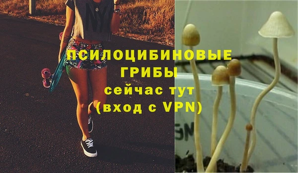 гидра Баксан
