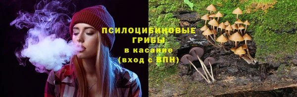 гидра Баксан