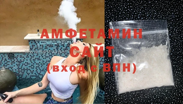 сатива Балахна