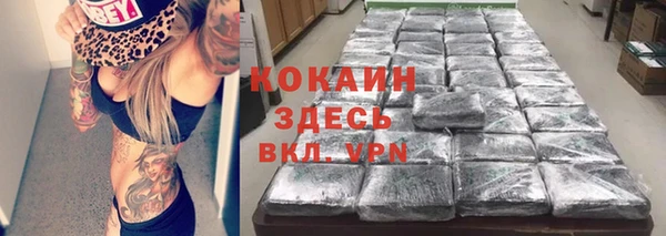 сатива Балахна