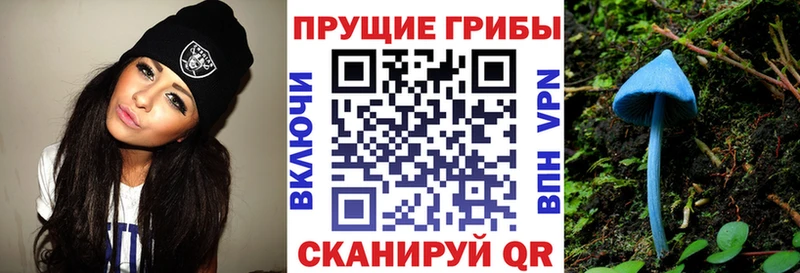 Псилоцибиновые грибы мицелий  Тутаев 